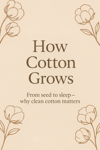 How Does Cotton Actually Grow? A Simple Guide for Conscious Moms